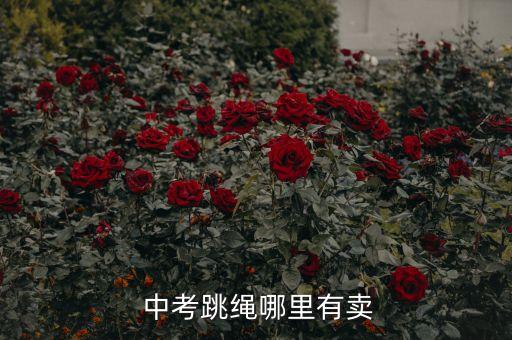  中考跳繩哪里有賣