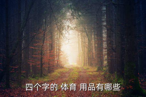 四個(gè)字的 體育 用品有哪些