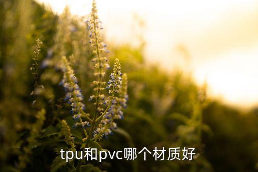 tpu和pvc哪個(gè)材質(zhì)好