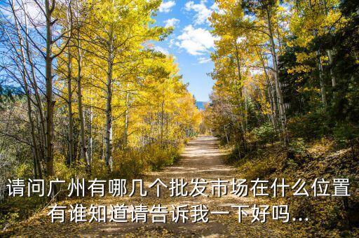 請(qǐng)問廣州有哪幾個(gè)批發(fā)市場在什么位置有誰知道請(qǐng)告訴我一下好嗎...