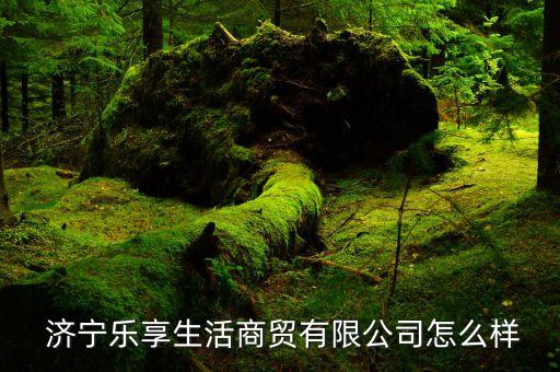  濟(jì)寧樂(lè)享生活商貿(mào)有限公司怎么樣