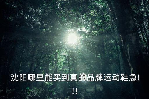  沈陽(yáng)哪里能買到真的品牌運(yùn)動(dòng)鞋急!!!