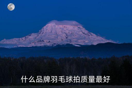 什么品牌羽毛球拍質(zhì)量最好