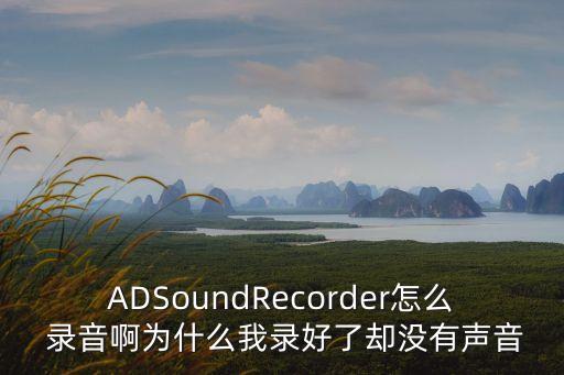 ADSoundRecorder怎么 錄音啊為什么我錄好了卻沒(méi)有聲音