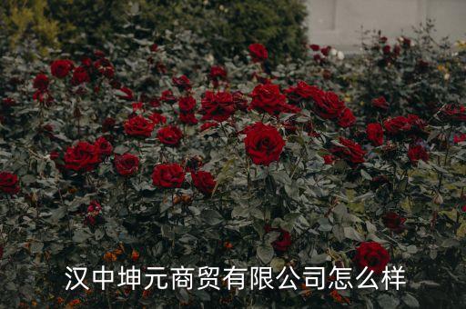  漢中坤元商貿(mào)有限公司怎么樣