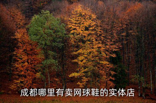 成都哪里有賣網(wǎng)球鞋的實體店