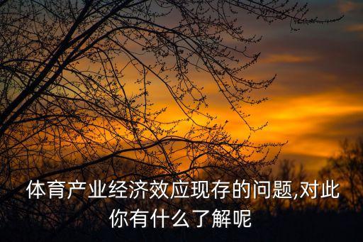  體育產業(yè)經濟效應現(xiàn)存的問題,對此你有什么了解呢