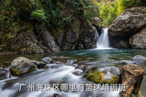 廣州海珠區(qū)哪里有籃球培訓班