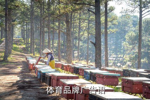  體育品牌廣告語(yǔ)
