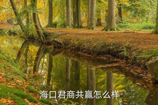  ?？诰坦糙A怎么樣