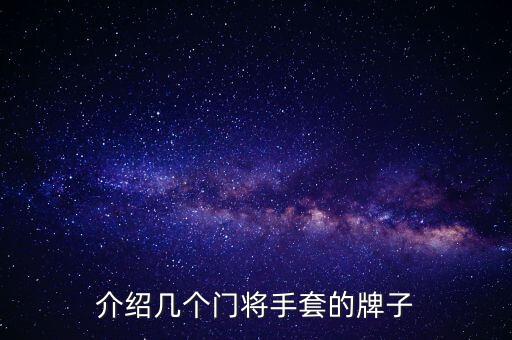 介紹幾個門將手套的牌子