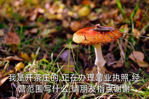 茶光附近體育用品,附近哪里有賣(mài)體育用品的店