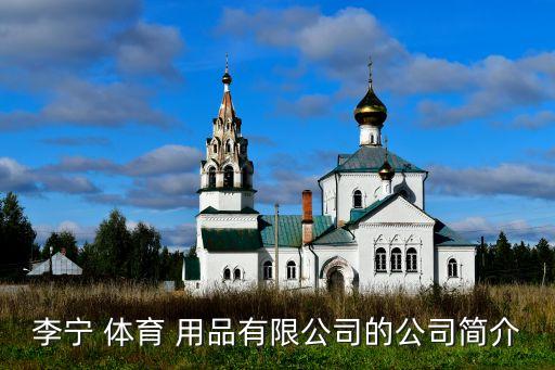 李寧 體育 用品有限公司的公司簡(jiǎn)介