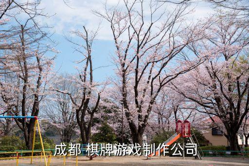 成都棋牌體育用品,成都體育用品專(zhuān)業(yè)市場(chǎng)在哪里