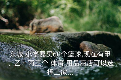 東城 小學(xué)要買60個籃球,現(xiàn)在有甲、乙、丙三個 體育 用品商店可以選擇三家...