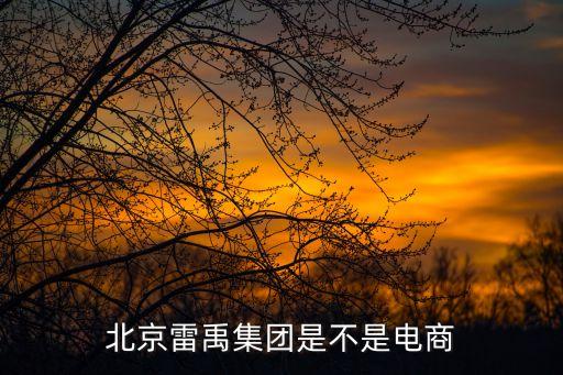 北京雷禹集團(tuán)是不是電商