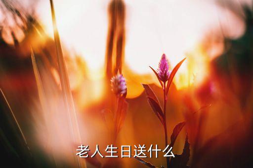 老年人的體育用品