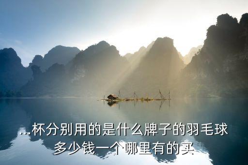 ...杯分別用的是什么牌子的羽毛球多少錢(qián)一個(gè)哪里有的買(mǎi)