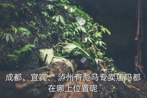 成都、宜賓、 瀘州有彪馬專賣店嗎都在哪上位置呢