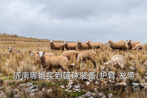  濟南哪能買到籃球裝備(護臂.發(fā)帶之類