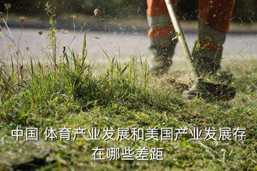 中國 體育產業(yè)發(fā)展和美國產業(yè)發(fā)展存在哪些差距
