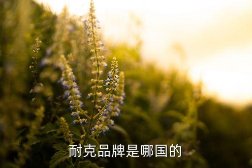 耐克品牌是哪國的