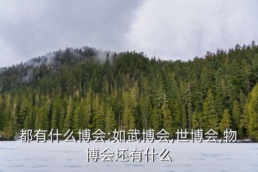 都有什么博會(huì):如武博會(huì),世博會(huì),物博會(huì)還有什么