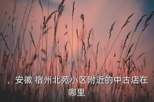 、安徽 宿州北苑小區(qū)附近的中古店在哪里