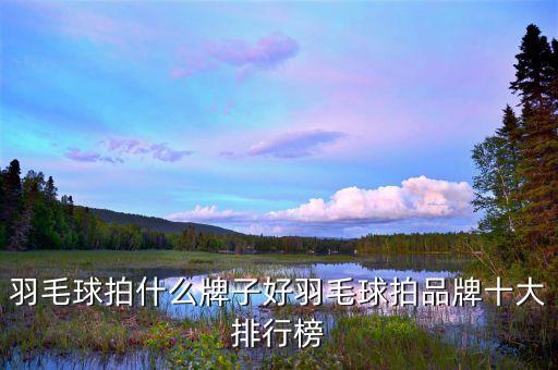 羽毛球拍什么牌子好羽毛球拍品牌十大排行榜