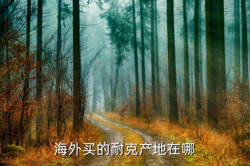 海外買的耐克產地在哪