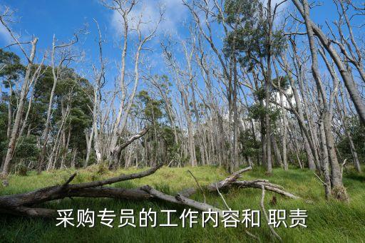 采購專員的工作內(nèi)容和 職責(zé)