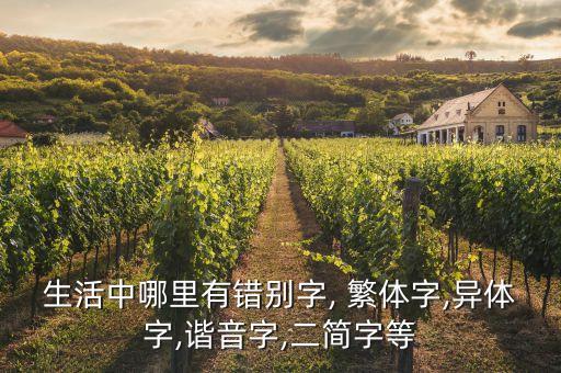 生活中哪里有錯(cuò)別字, 繁體字,異體字,諧音字,二簡(jiǎn)字等