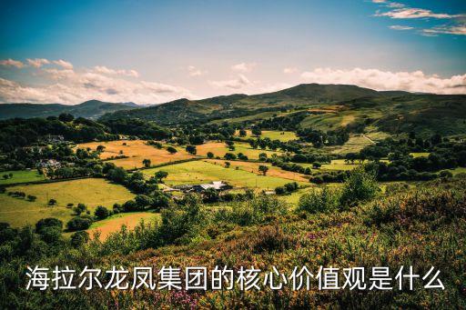  海拉爾龍鳳集團(tuán)的核心價值觀是什么