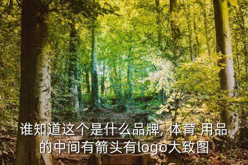 誰知道這個是什么品牌, 體育 用品的中間有箭頭有l(wèi)ogo大致圖