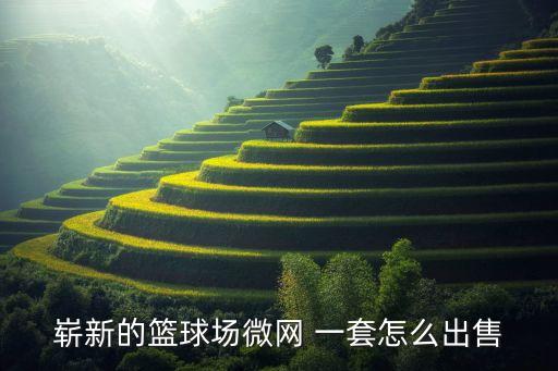 嶄新的籃球場(chǎng)微網(wǎng) 一套怎么出售