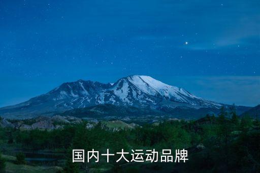 國內(nèi)十大運動品牌