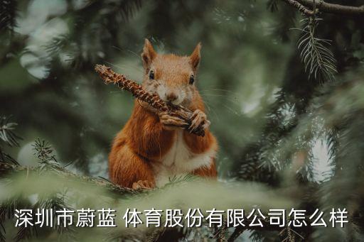 深圳市蔚藍(lán) 體育股份有限公司怎么樣