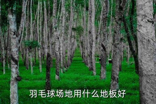 羽毛球場(chǎng)地用什么地板好