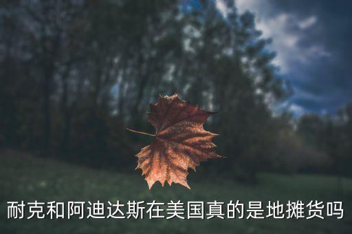 耐克和阿迪達(dá)斯在美國(guó)真的是地?cái)傌泦? class=