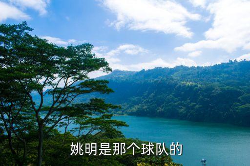  姚明是那個(gè)球隊(duì)的