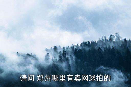 請(qǐng)問(wèn) 鄭州哪里有賣(mài)網(wǎng)球拍的