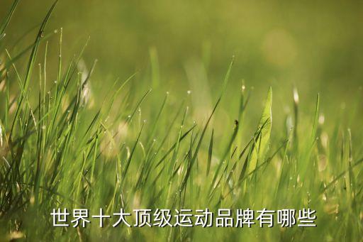  世界十大頂級運動品牌有哪些