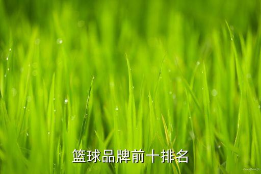 籃球品牌前十排名
