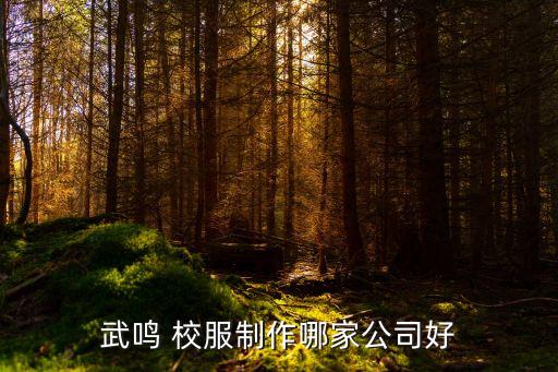 武鳴 校服制作哪家公司好