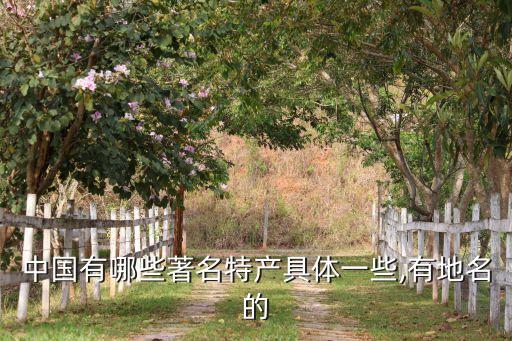 中國(guó)有哪些著名特產(chǎn)具體一些,有地名的
