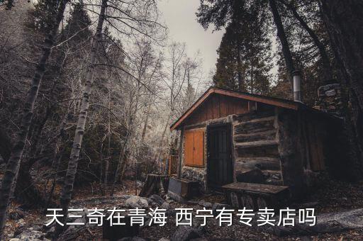 天三奇在青海 西寧有專賣店嗎