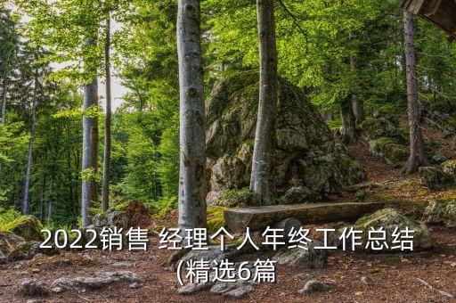 2022銷售 經(jīng)理個(gè)人年終工作總結(jié)(精選6篇