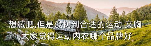 想減肥,但是沒找到合適的運(yùn)動 文胸,大家覺得運(yùn)動內(nèi)衣哪個品牌好
