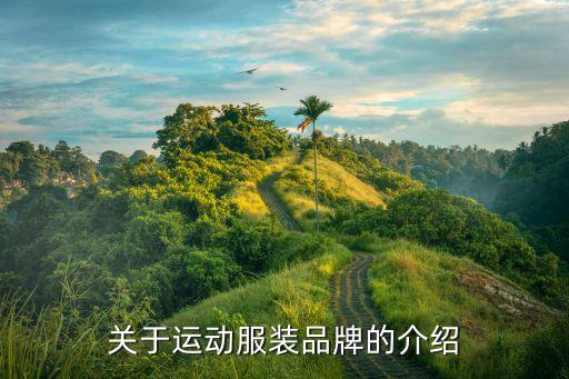 關(guān)于運(yùn)動(dòng)服裝品牌的介紹