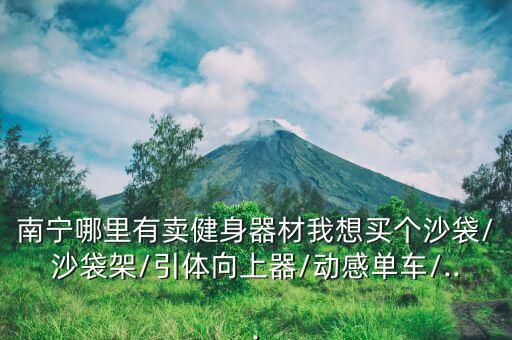 南寧哪里有賣健身器材我想買個沙袋/沙袋架/引體向上器/動感單車/...
